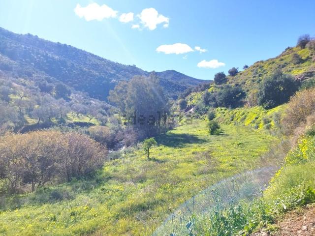 Terreno, Rincón de la Victoria