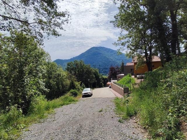 Terreno, Ripoll