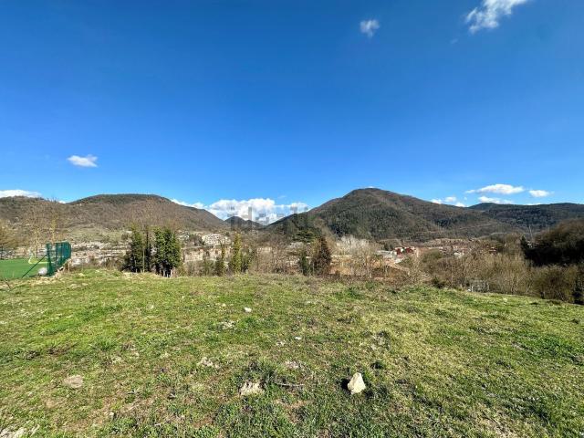 Terreno, Ripoll