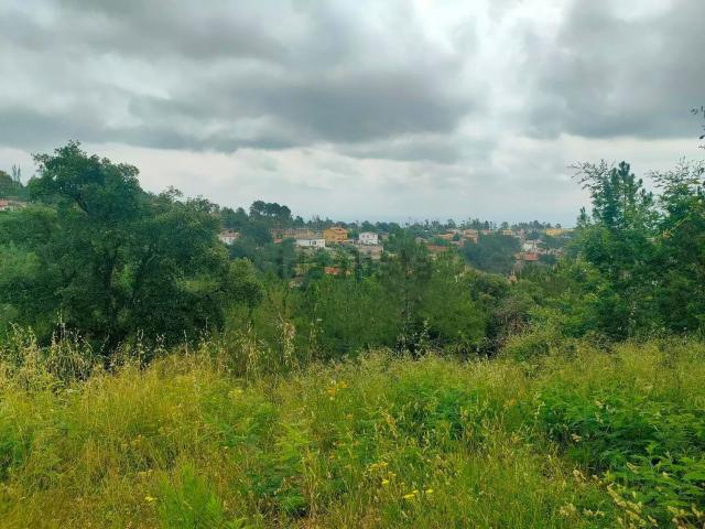 Terreno, Riudarenes