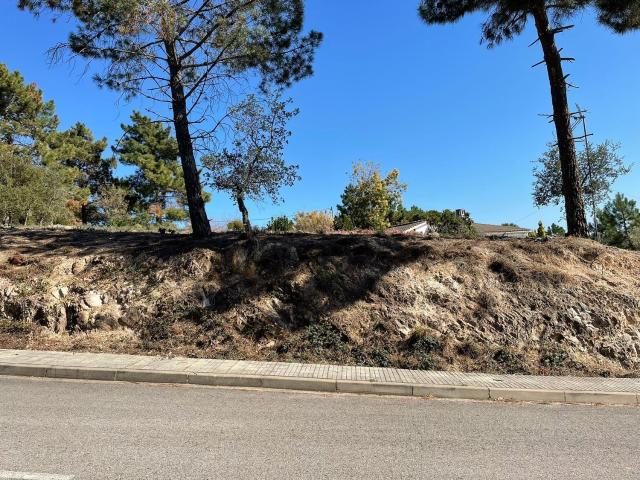 Terreno, Riudarenes