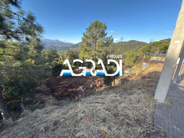 Terreno, Riudarenes