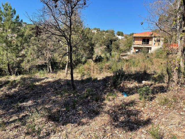 Terreno, Riudarenes