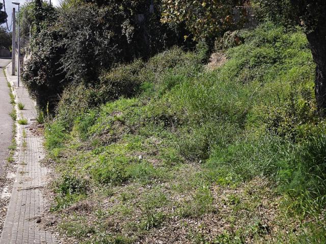 Terreno, Riudarenes