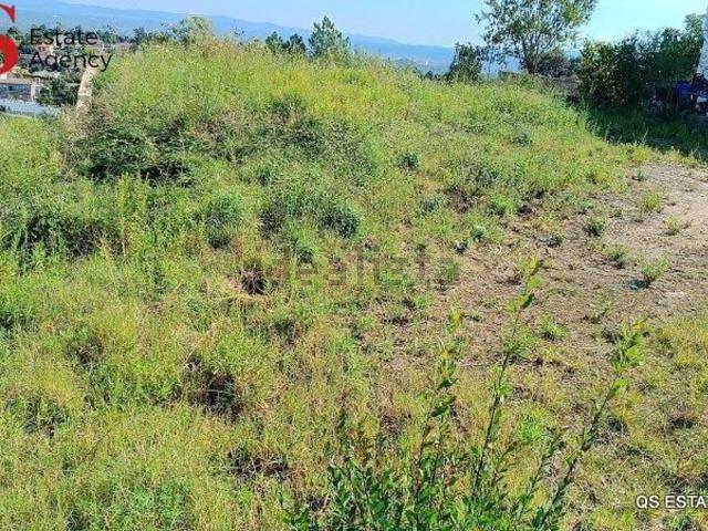 Terreno, Riudarenes