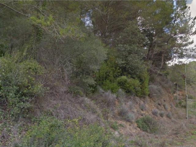 Terreno, Riudecanyes