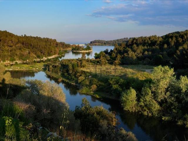 Terreno, Riudecanyes
