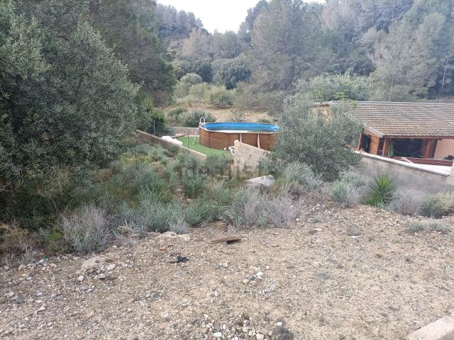 Terreno, Riudecanyes