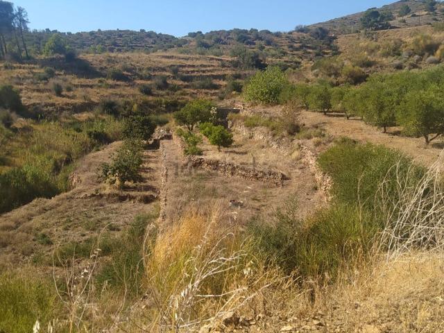 Terreno, Riudecanyes