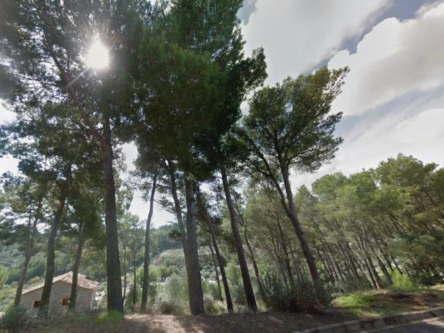Terreno, Riudecanyes