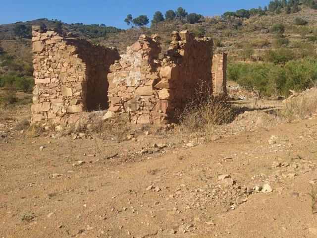 Terreno, Riudecanyes