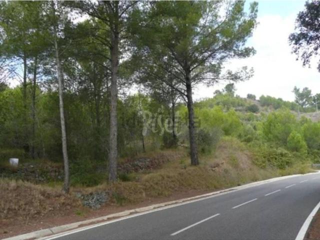 Terreno, Riudecanyes