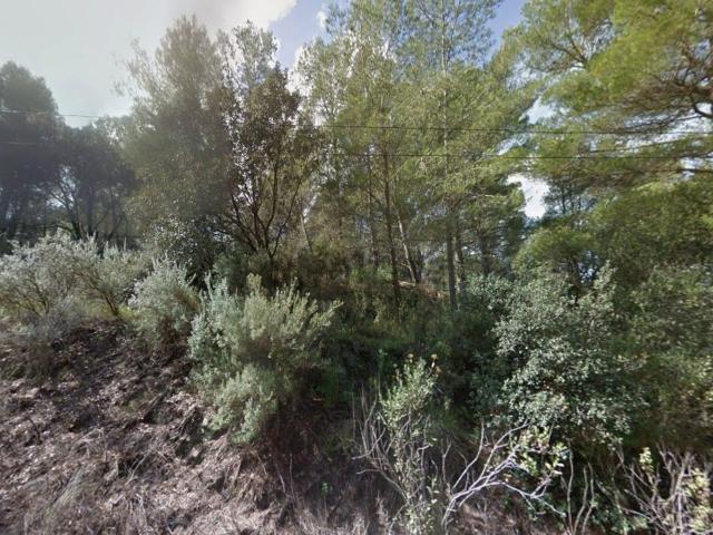 Terreno, Riudecanyes