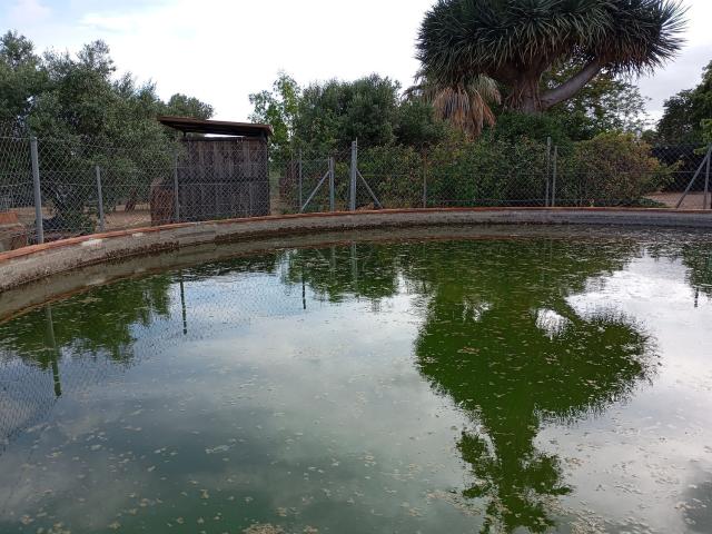 Terreno, Riudoms