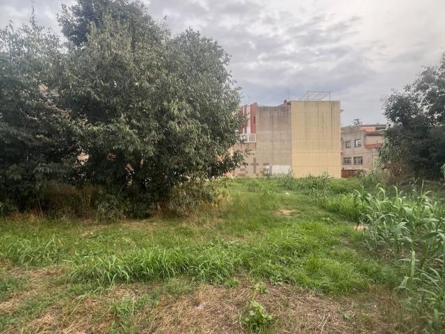Terreno, Riudoms