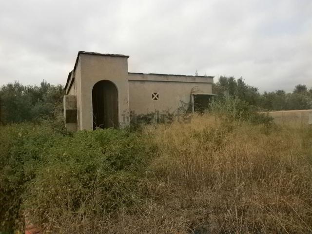 Terreno, Riudoms