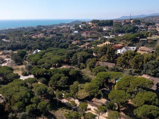 Terreno, Rocaferrera, Sant Andreu de Llavaneres