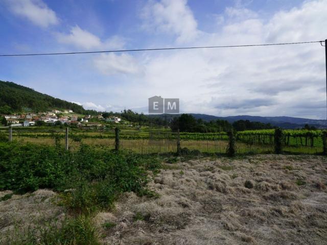 Terreno, Rôge