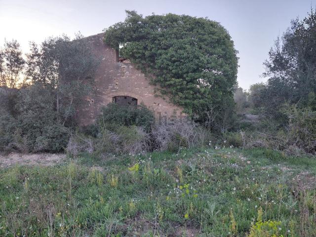 Terreno, Rodonyá