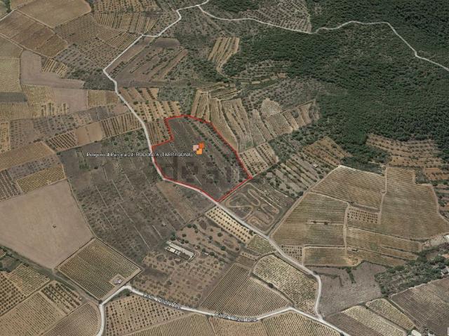 Terreno, Rodonyá