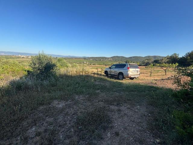 Terreno, Rodonyá