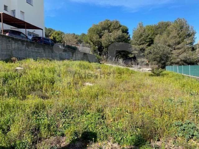 Terreno, Roda de Berà