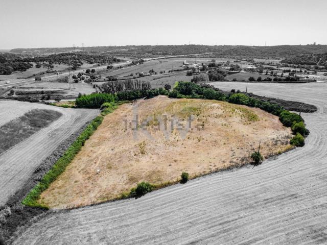 Terreno, Romeira e Várzea