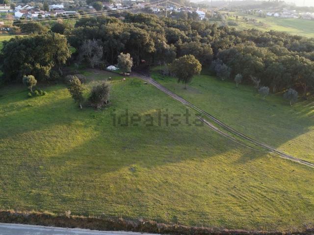 Terreno, Romeira e Várzea