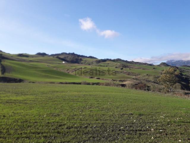 Terreno, Ronda