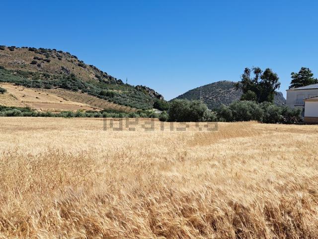 Terreno, Ronda