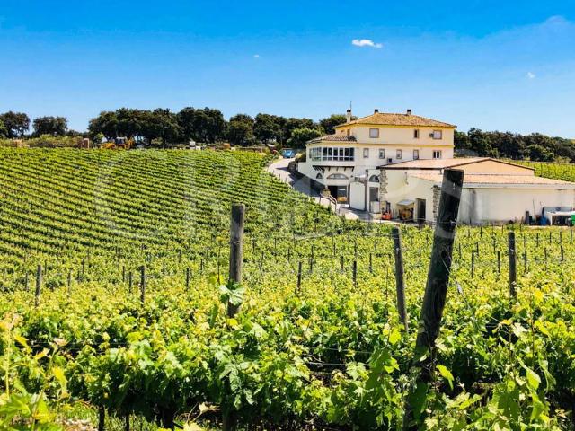 Terreno, Ronda