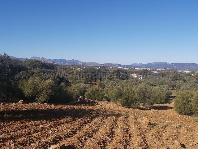 Terreno, Ronda