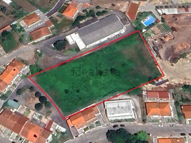 Terreno, Ronfe