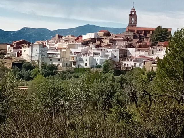 Terreno, Rosell