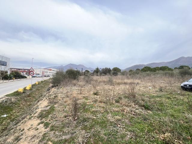 Terreno, Roses