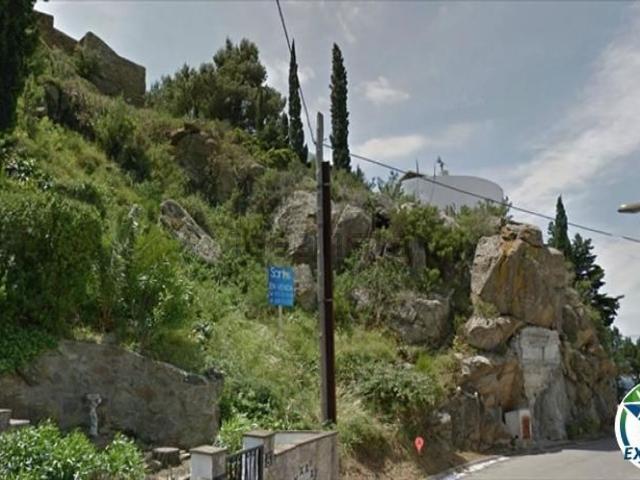 Terreno, Roses