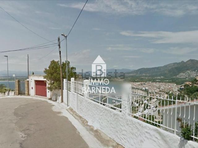 Terreno, Roses
