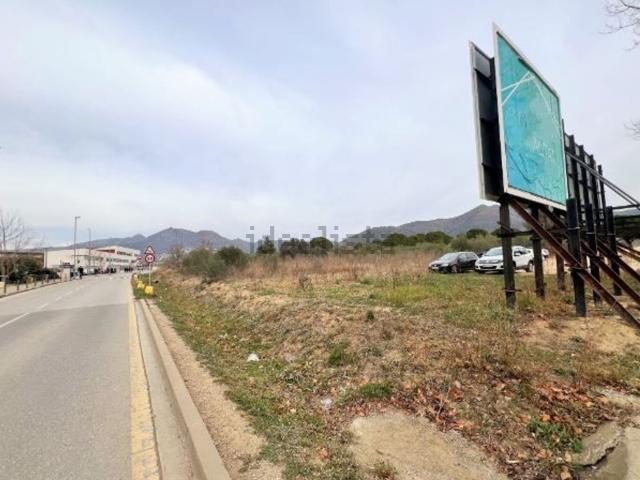 Terreno, Roses