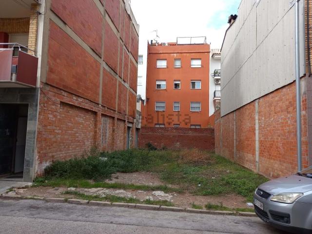 Terreno, Roses