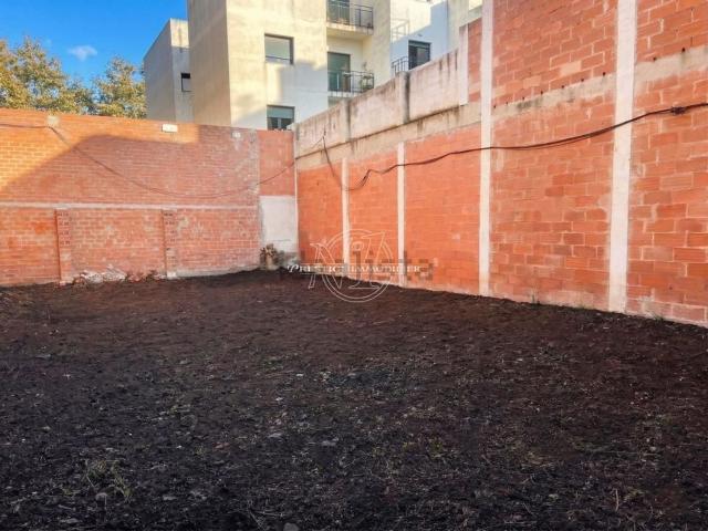 Terreno, Roses