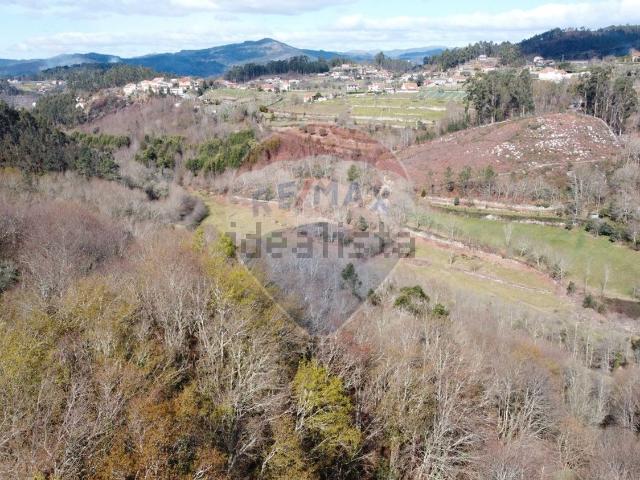 Terreno, Rossas