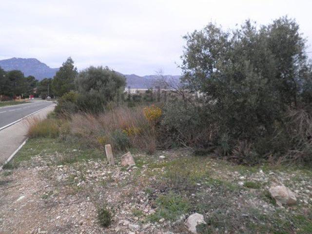 Terreno, Roquetes