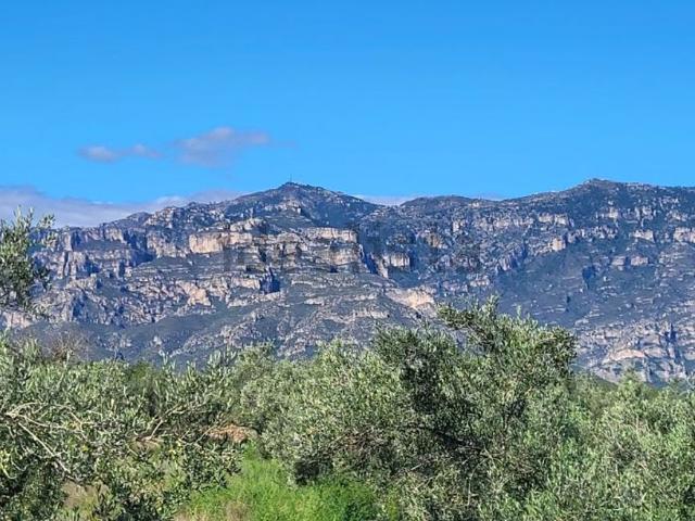 Terreno, Roquetes