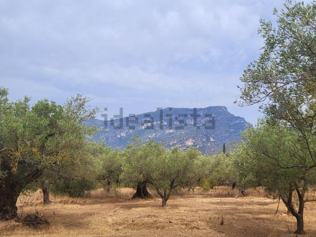 Terreno, Roquetes