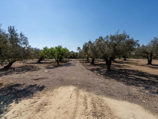 Terreno, Roquetes