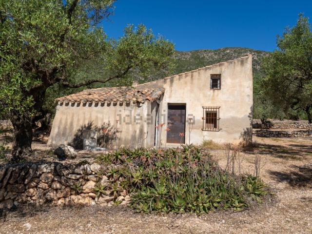 Terreno, Roquetes