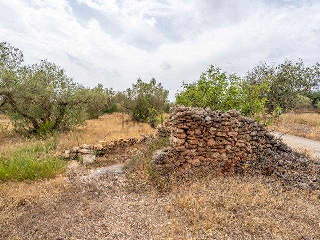 Terreno, Roquetes