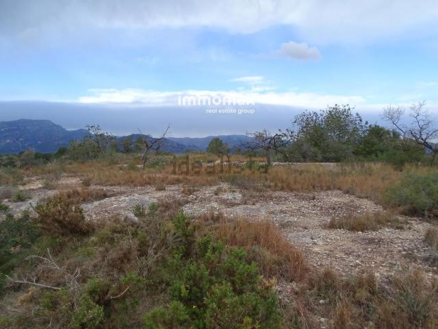 Terreno, Roquetes