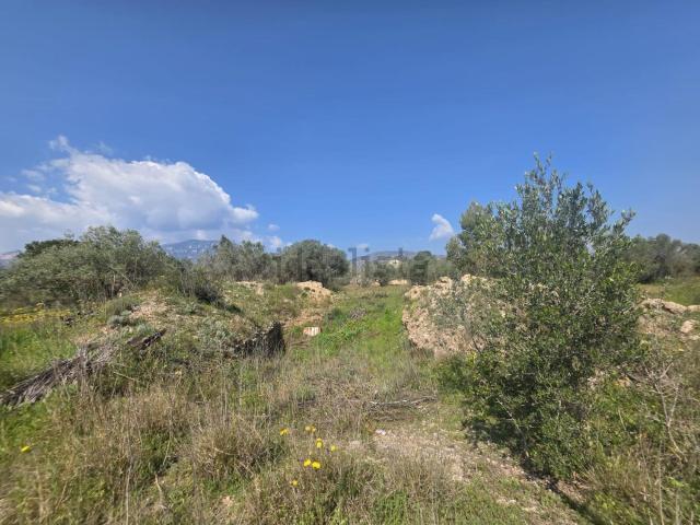 Terreno, Roquetes