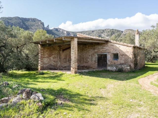 Terreno, Roquetes